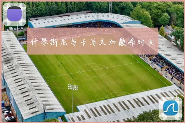 什琴斯尼与卡马文加巅峰对决