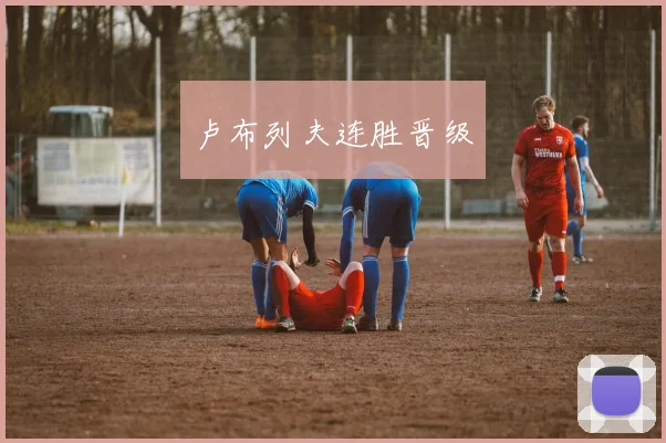 卢布列夫连胜晋级