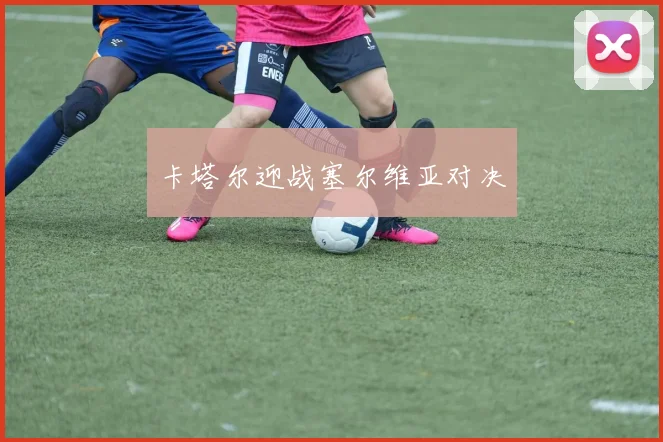 卡塔尔迎战塞尔维亚对决