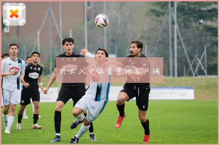 开云入口体育资讯客户端