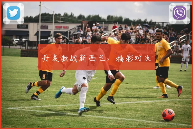 丹麦激战新西兰,精彩对决