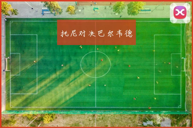 托尼对决巴尔韦德