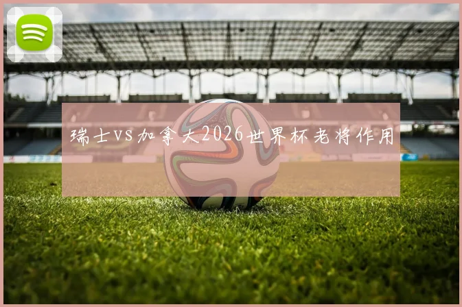 瑞士vs加拿大2026世界杯老将作用