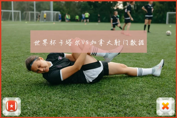 世界杯卡塔尔vs加拿大射门数据