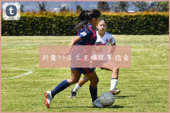 科隆vs法兰克福观赛指南