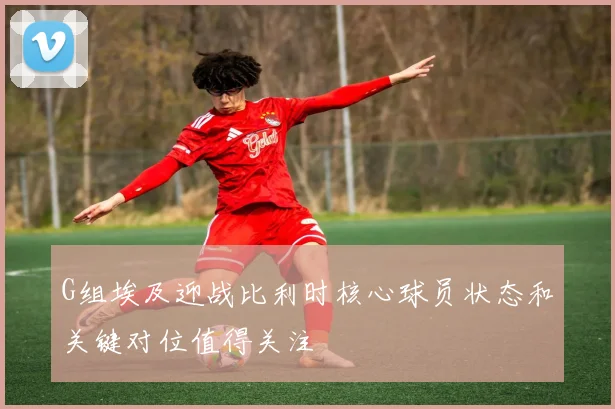 G组埃及迎战比利时核心球员状态和关键对位值得关注