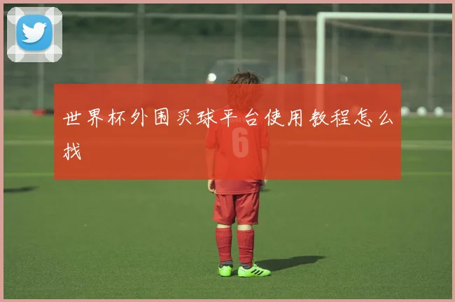 世界杯外围买球平台使用教程怎么找
