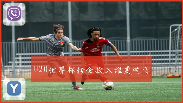 U20世界杯转会投入谁更吃亏